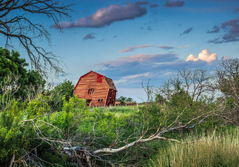 A peek through tree branches at an old, abandoned, leaning red barn on a stormy, summer evening.