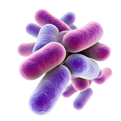 3D Rendering of Colorful Bacteria Cells with Vivid Purple and Pink Hues on White Background