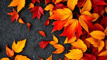 Autumn leaves background