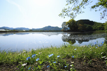 兵庫県姫路市　州濱神社