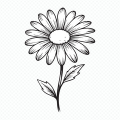 minimalist daisy blossom vector sketch with editable outlines ideal for branding, packaging, digital prints and decor