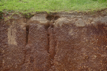 side view gravel Soil