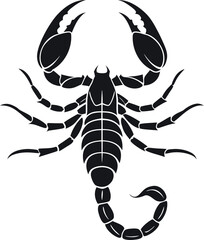 Graphic scorpion  vector illustration for tattoo and print.