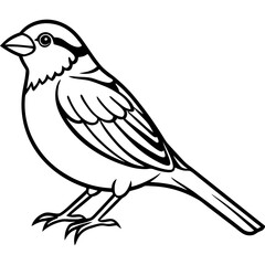 Obraz premium Majestic Sparrow Silhouette