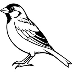 Majestic Sparrow Silhouette