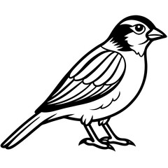 Majestic Sparrow Silhouette