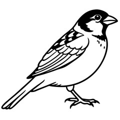 Majestic Sparrow Silhouette
