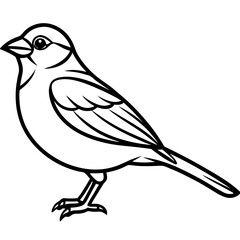 Majestic Sparrow Silhouette