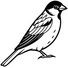 Majestic Sparrow Silhouette