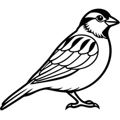 Majestic Sparrow Silhouette