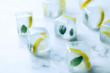 Refreshing Ice Cubes with Lemon and Mint