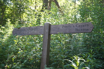 Wooden direction signpost in lush forest pointing to Solomon’s Temple in Buxton, England.