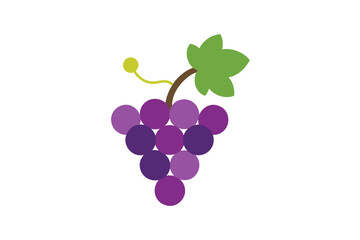 Grapes And Vines In Simple Flat Style On White Background