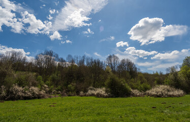 Amazing green meadow in the mountains. Meadow covered with blue sky filled with white fluffy clouds. Spring nature photography.