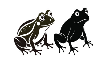 Detailed frog illustration with silhouette