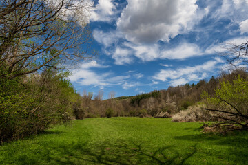 Amazing green meadow in the mountains. Meadow covered with blue sky filled with white fluffy clouds. Spring nature photography.