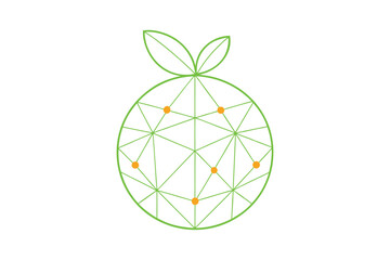 Fruit Pattern Made From Lines And Circles Only On White