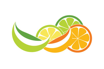 Flat Vector Illustration Of Sliced Citrus Wheels