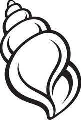 Stylish seashell design black white drawing, Beach element line art illustration