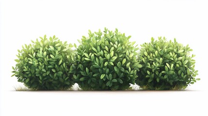 Obraz premium Three Realistic Lush Green Bushes Isolated on White Background