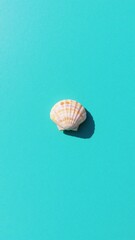 Seashell on a vibrant blue background with shadow
