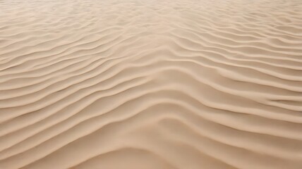 Obraz premium Subtle Undulations of Beige Desert Sand
