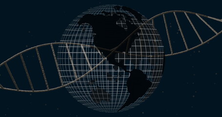 Naklejka premium Rotating wireframe globe wrapping around twisting DNA double helix in space motif, navy-blue stars