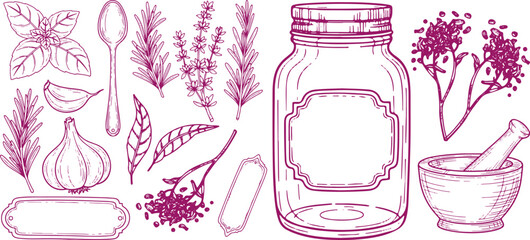 Collection of hand drawn culinary herbs spices a spoon a jar and a mortar and pestle in a charming sketch style