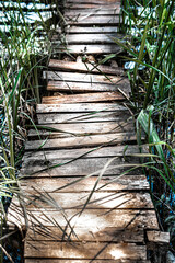 old wooden bridge