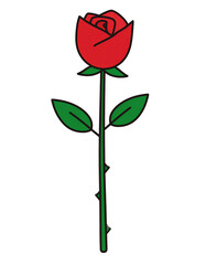 Hand-drawn Red Rose with Green Leaves on a White Background