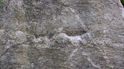 Ancient petroglyphs etched into weathered stone, depicting historic narratives and cultural...
