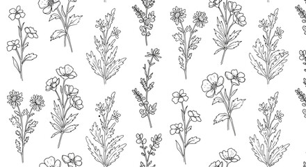 Hand-drawn floral pattern with various flowers on white background  