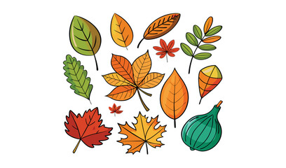 Autumn leaves collection with fig illustration