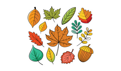 Autumn leaves collection with acorn illustration