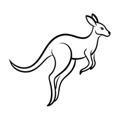 kangaroo vector illustration