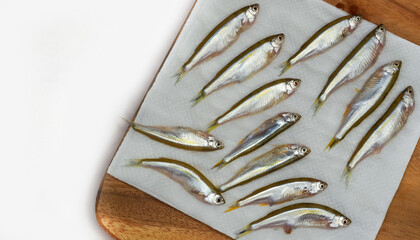 Close up fresh anchovies or gray anchovy isolated on white background.