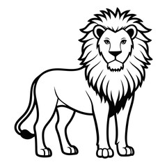 lion vector illustration