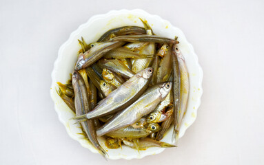 Smelt fish, fresh raw small fish in a white bowl on a white background. A bowl of small fish, before frying, Selective focus, top view.