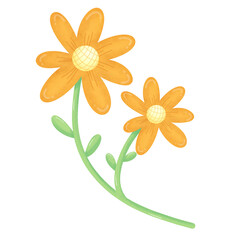 Naklejka premium Whimsical Watercolor: Twin Orange Flowers with Green Stem.