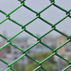 Close-up image of a green metal wire mesh fence with blurred urban background