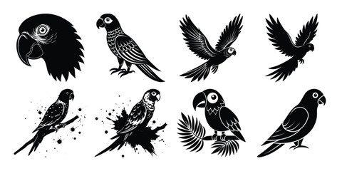 Silhouetted parrots in various poses isolated on white background