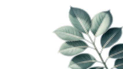 Elegant Greenery  High-Resolution Leaf Image with Transparent Background