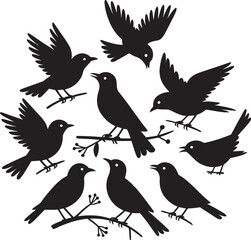 birds silhouettes vector