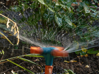 Garden Sprinkler Emitting a Fine Spray of Water on Plants