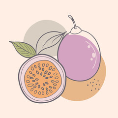 Simple Passion Fruit Silhouettes Whole and Half Cut Vector Graphics