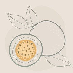 Passion Fruit Silhouettes Whole and Half Cut Simple Vector Design