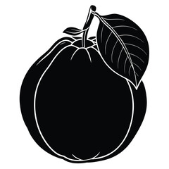 Flat Vector Quince Fruit Silhouette Square Rounded Design