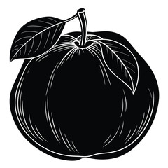 Flat Vector Quince Fruit Silhouette Square Rounded Design