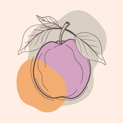 Flat Vector Quince Fruit Silhouette Square Rounded Design Element