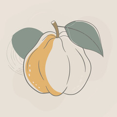Flat Vector Quince Fruit Silhouette Square Rounded Design
